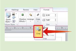 Mastering Graphic Cropping in Microsoft Publisher: A Step-by-Step Guide