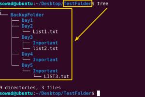 Mastering the Linux Find Command: A Comprehensive Guide to Locating Your Files