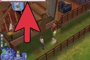 Mastering Pet Control in The Sims 2: A Comprehensive Guide