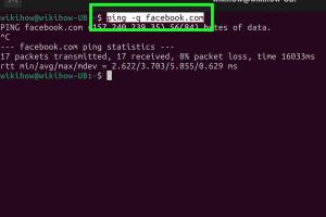 Mastering Ping in Linux: A Comprehensive Guide with Examples and Insights
