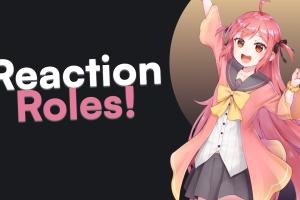Mastering Reaction Roles on Discord: A Comprehensive Guide