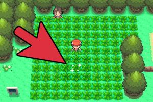 Mastering the Poke Radar: Your Ultimate Guide to Catching Rare Pokémon