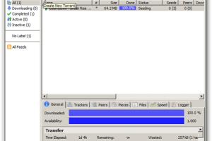 Mastering Torrent Files: Your Ultimate Guide to Downloading and Opening