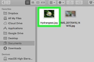 Effortless Methods to Open JPEG Images on Windows, Mac, and Mobile Devices