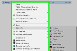 Easy Guide to Open Opus Files on PC or Mac: Step-by-Step Instructions