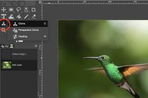 Mastering the Clone Tool in GIMP: A Comprehensive Guide for Beginners