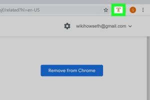 Mastering the Art of Recovering Disappeared Form Text in Google Chrome