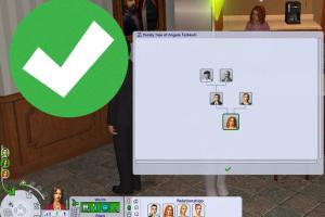 Ultimate Guide to Sims 2 Mods: Installation and Extras Pack Placement