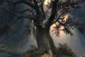The Ultimate Guide to Obtaining Eldergleam Sap in Skyrim: The Blessings of Nature Quest