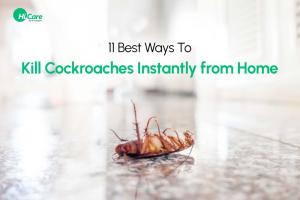 The Ultimate Guide to Effectively Eliminate Cockroaches from Your Home