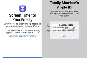 Troubleshooting Apple Family Sharing: Why Is Your Child's Screen Time Not Showing?
