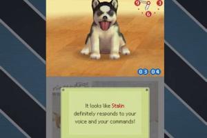 Unlocking All the Dogs on Nintendogs: Your Ultimate Guide