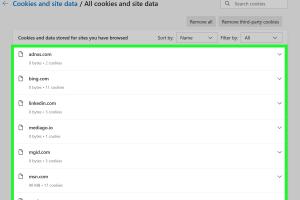 4 Simple Ways to View Cookies in a Web Browser – A Comprehensive Guide