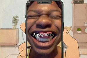 Understanding the Term 'Sussy Baka': A Comprehensive Guide