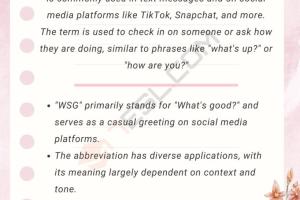 Understanding WSG: What It Means and Its Significance in Various Contexts